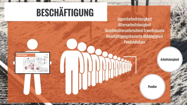 Study presentation for the Pinzgau Opportunity Index: detail 2