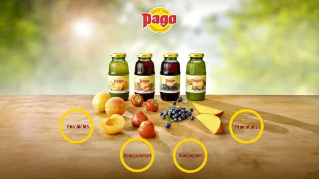 Company presentation: PAGO